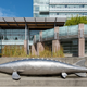 Illustration for article titled 2019-09-24 Pictures From Around Richmond City Hall